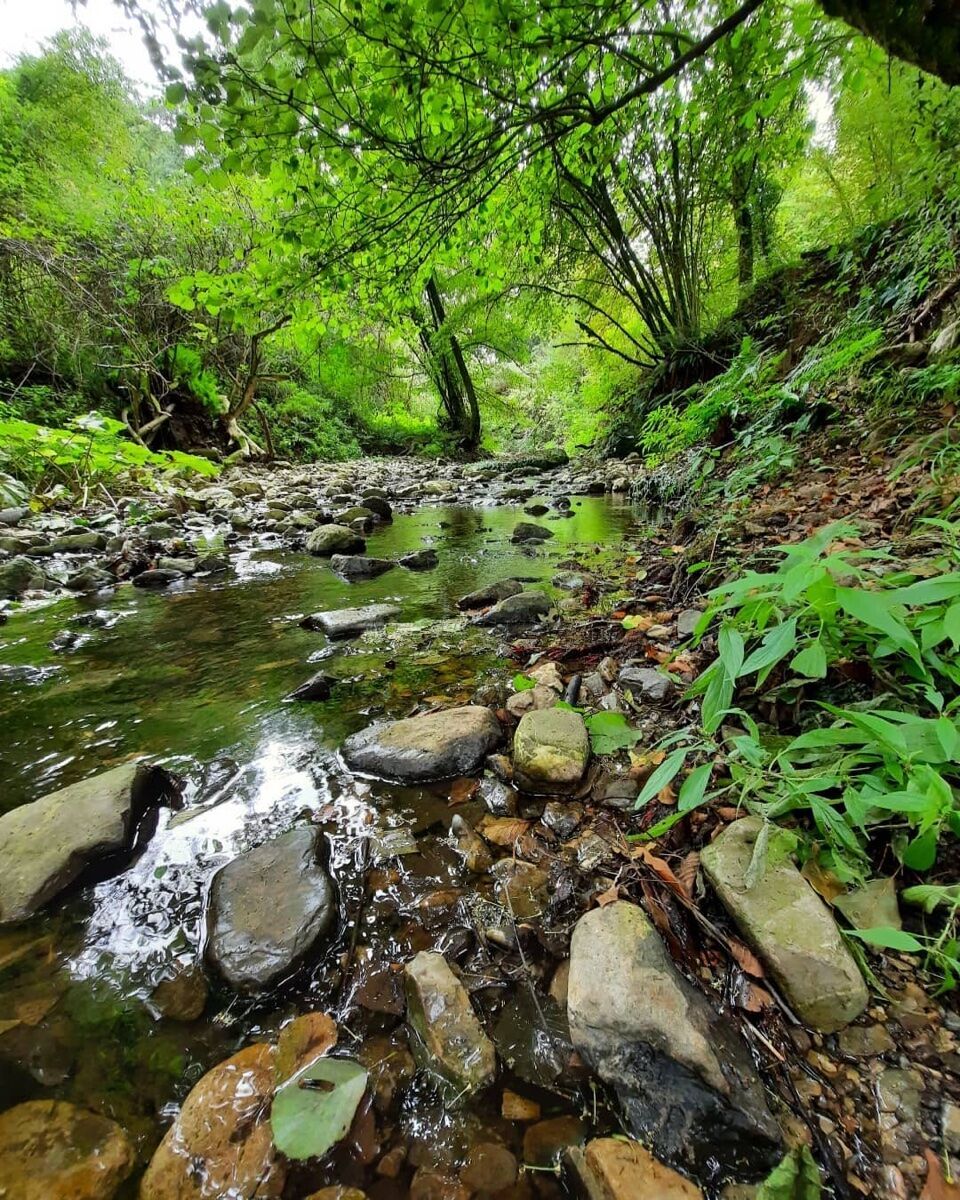 Trekking nelle verdi Gole di Blera Trekking nelle verdi Gole di Blera desktop picture