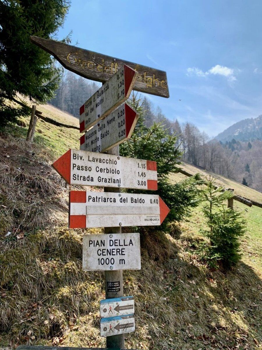 Bagno di Foresta e Meditazione al Patriarca del Monte Baldo Bagno di Foresta e Meditazione al Patriarca del Monte Baldo desktop picture