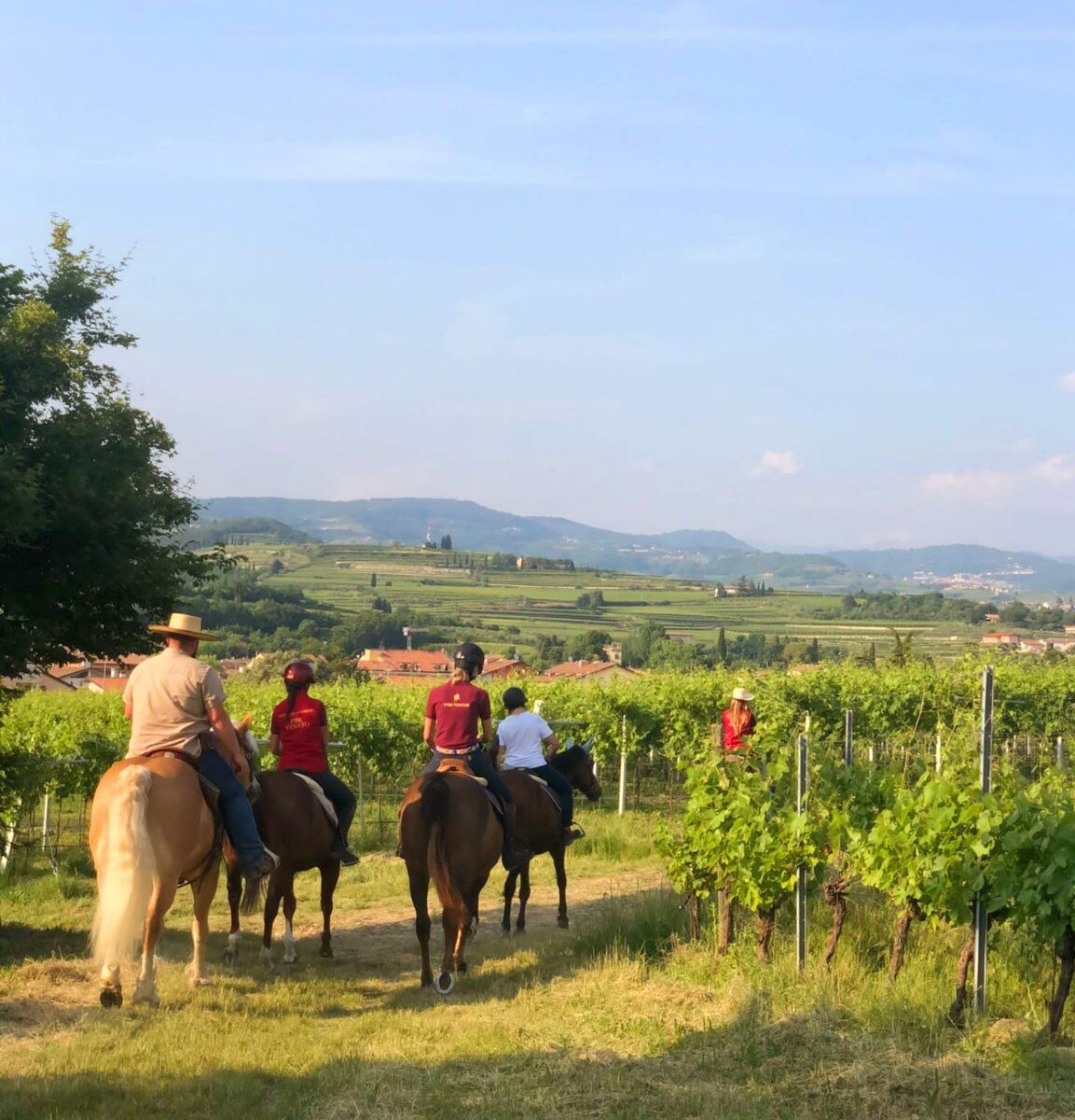 Passeggiata a Cavallo in Valpolicella Passeggiata a Cavallo in Valpolicella desktop picture