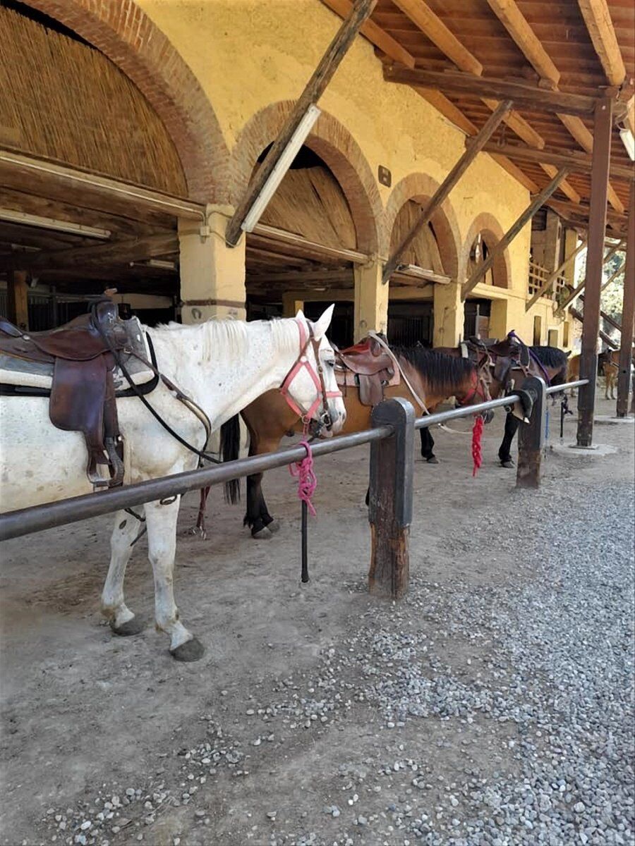 Passeggiata a Cavallo in Valpolicella desktop picture