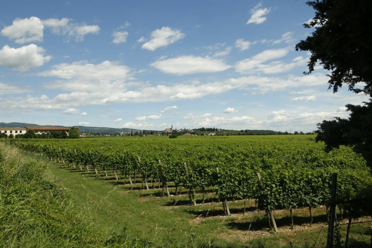 Passeggiata serale a Cavallo in Valpolicella Passeggiata serale a Cavallo in Valpolicella desktop picture