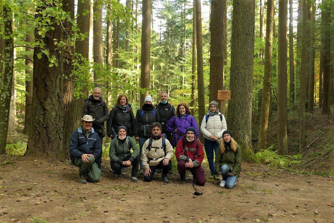 La magia di Vallombrosa: Camminata tra ruscelli e faggi La magia di Vallombrosa: Camminata tra ruscelli e faggi desktop picture