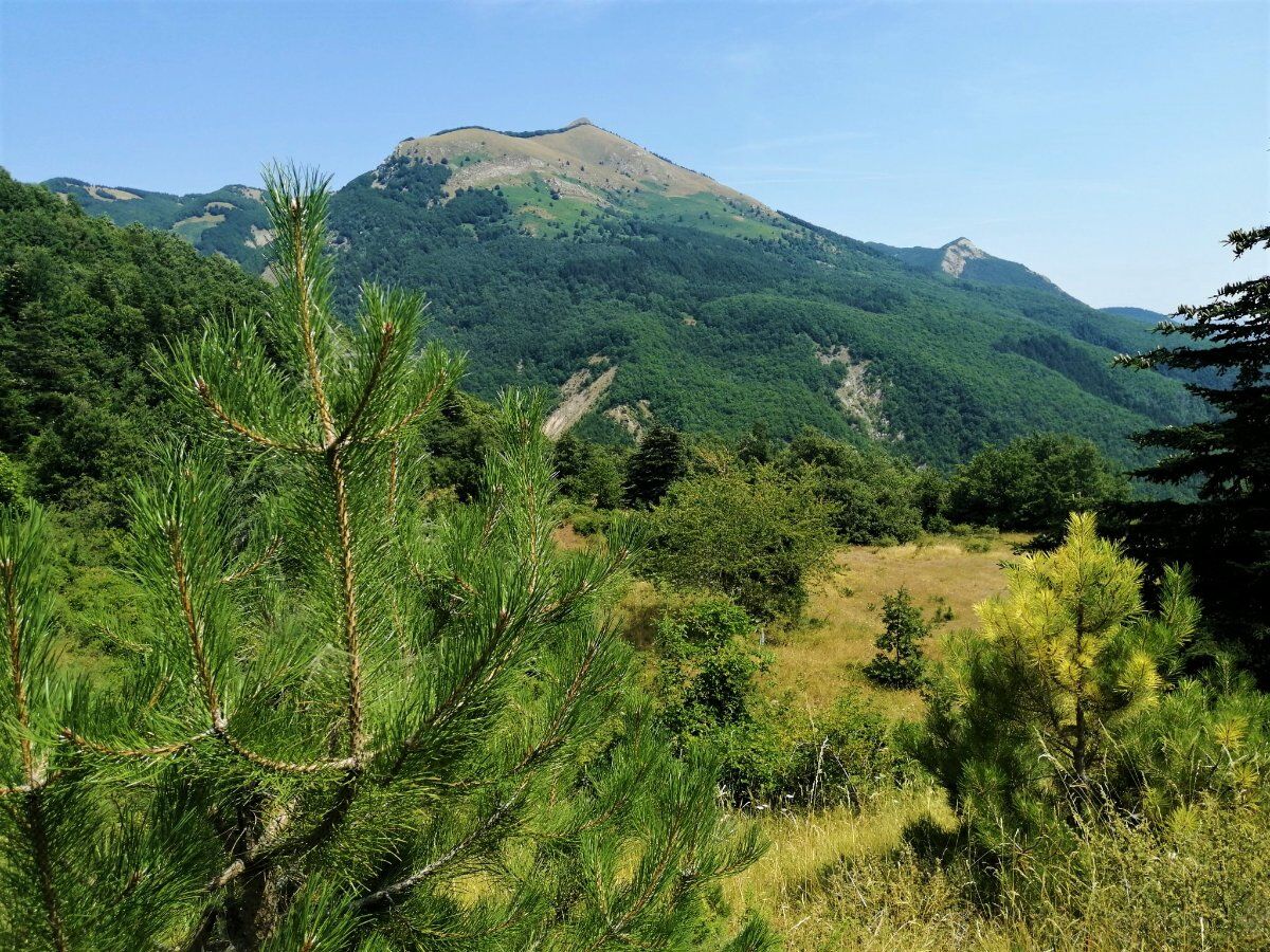 Trekking panoramico a Vallisnera: la Cascata della Carvara desktop picture