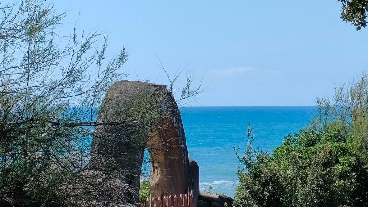 Camminata nel Bosco di Circe: tra pozioni e leggende antiche desktop picture