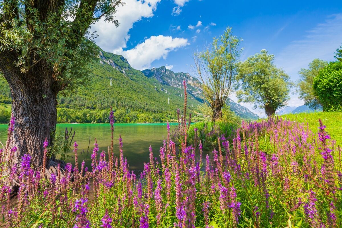 Passeggiata con Tour in battello sul Lago d'Idro desktop picture