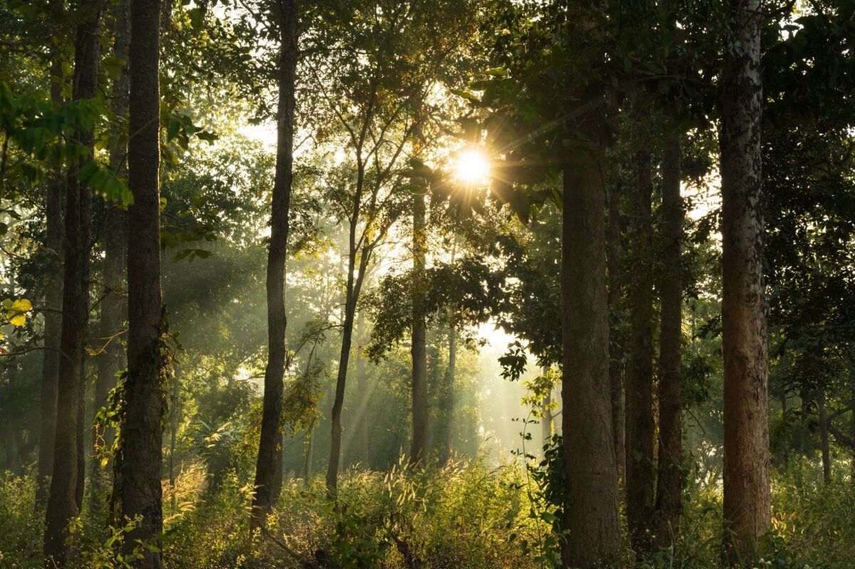 Passeggiata con Degustazione tra Rosazza e San Giovanni Passeggiata con Degustazione tra Rosazza e San Giovanni desktop picture
