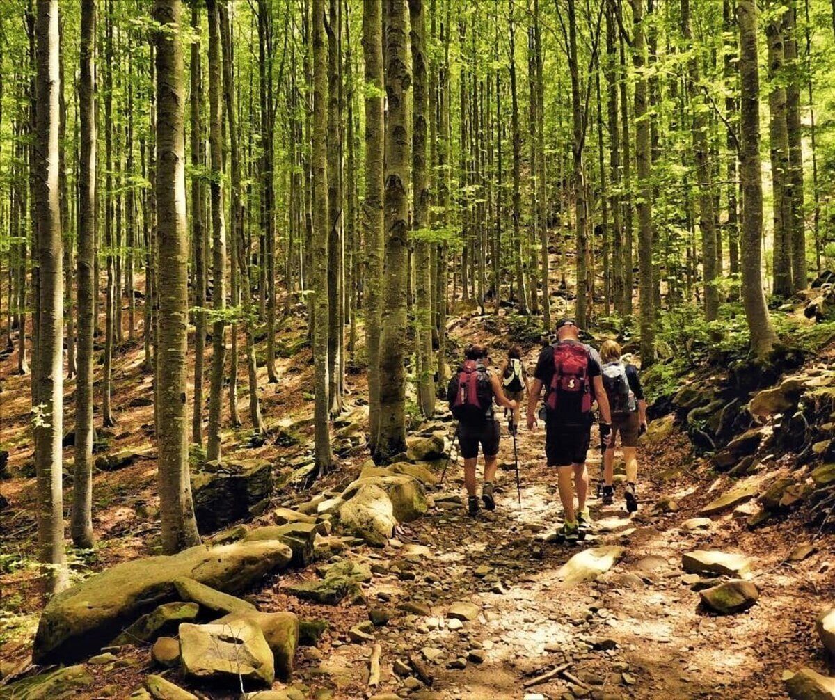 Trekking panoramico nel Parco dei 100 Laghi desktop picture