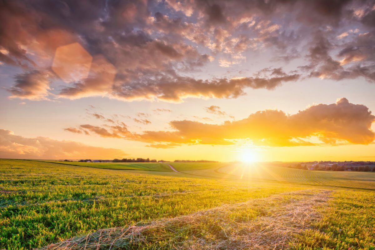 Notte di San Lorenzo: Passeggiata nel Monferrato con Degustazione di vino Notte di San Lorenzo: Passeggiata nel Monferrato con Degustazione di vino desktop picture
