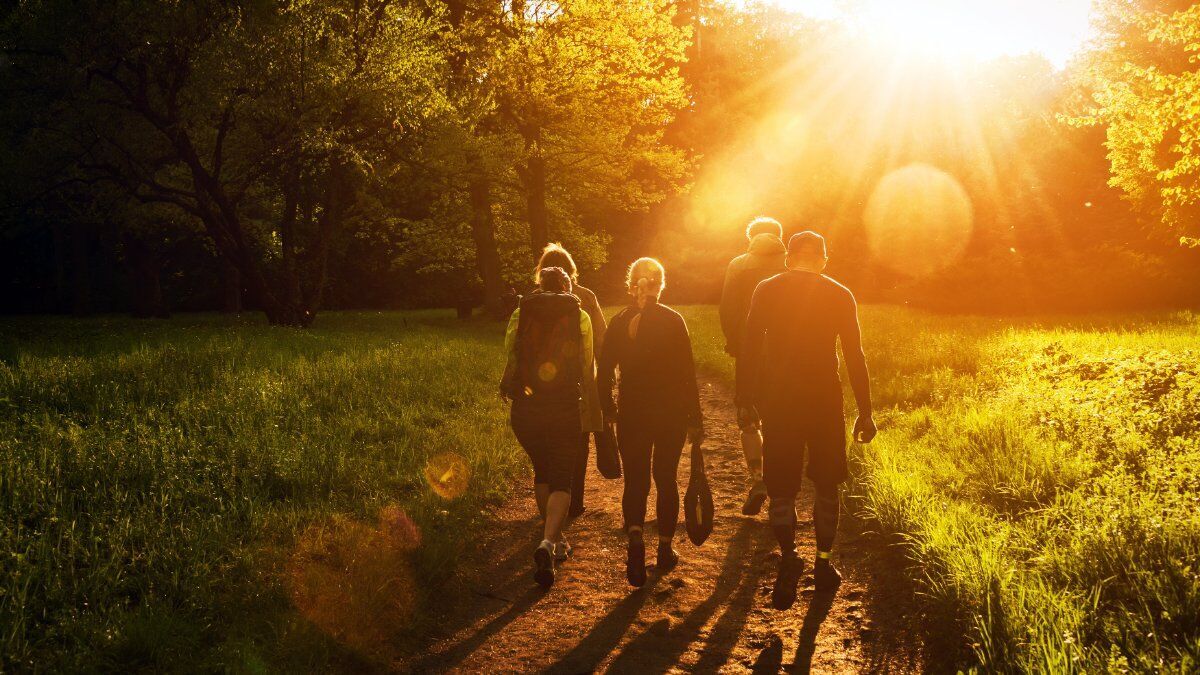 Notte di San Lorenzo: Passeggiata nel Monferrato con Degustazione di vino Notte di San Lorenzo: Passeggiata nel Monferrato con Degustazione di vino desktop picture