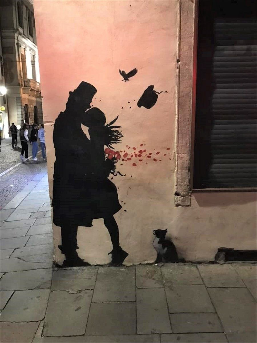 La Street Art a Padova: un insolito Tour tra l'antico e il moderno desktop picture