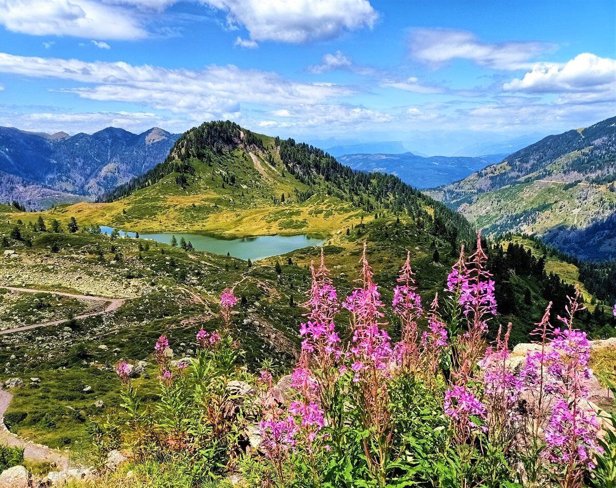 Trekking a cima Ziolera e al lago delle Buse Trekking a cima Ziolera e al lago delle Buse desktop picture