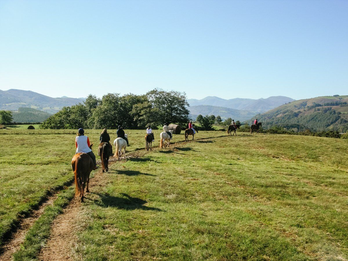 Passeggiata a Cavallo sulle pendici del monte Baldo Passeggiata a Cavallo sulle pendici del monte Baldo desktop picture