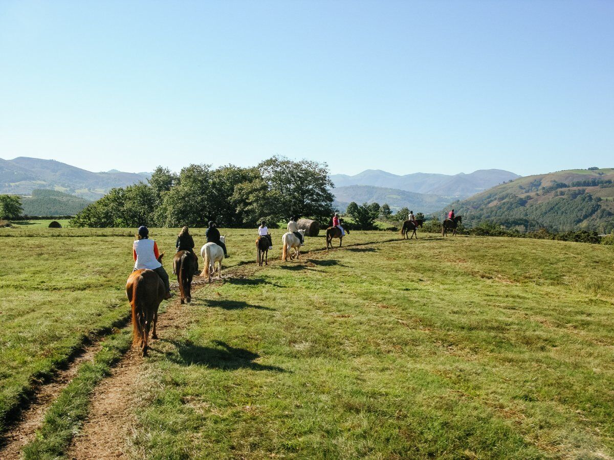 Passeggiata a Cavallo sulle pendici del monte Baldo desktop picture