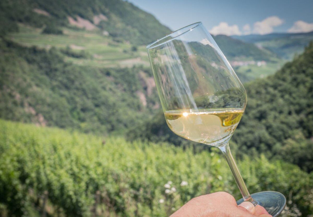 Val di Cembra e Müller Thurgau: Trekking con Brindisi finale Val di Cembra e Müller Thurgau: Trekking con Brindisi finale desktop picture