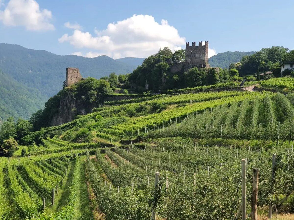 Val di Cembra e Müller Thurgau: Trekking con Brindisi finale Val di Cembra e Müller Thurgau: Trekking con Brindisi finale desktop picture