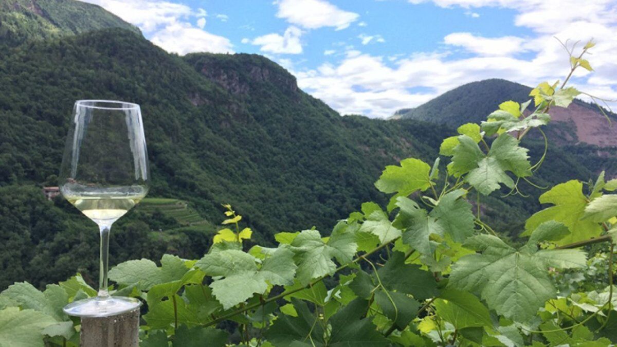 Val di Cembra e Müller Thurgau: Trekking con Brindisi finale Val di Cembra e Müller Thurgau: Trekking con Brindisi finale desktop picture