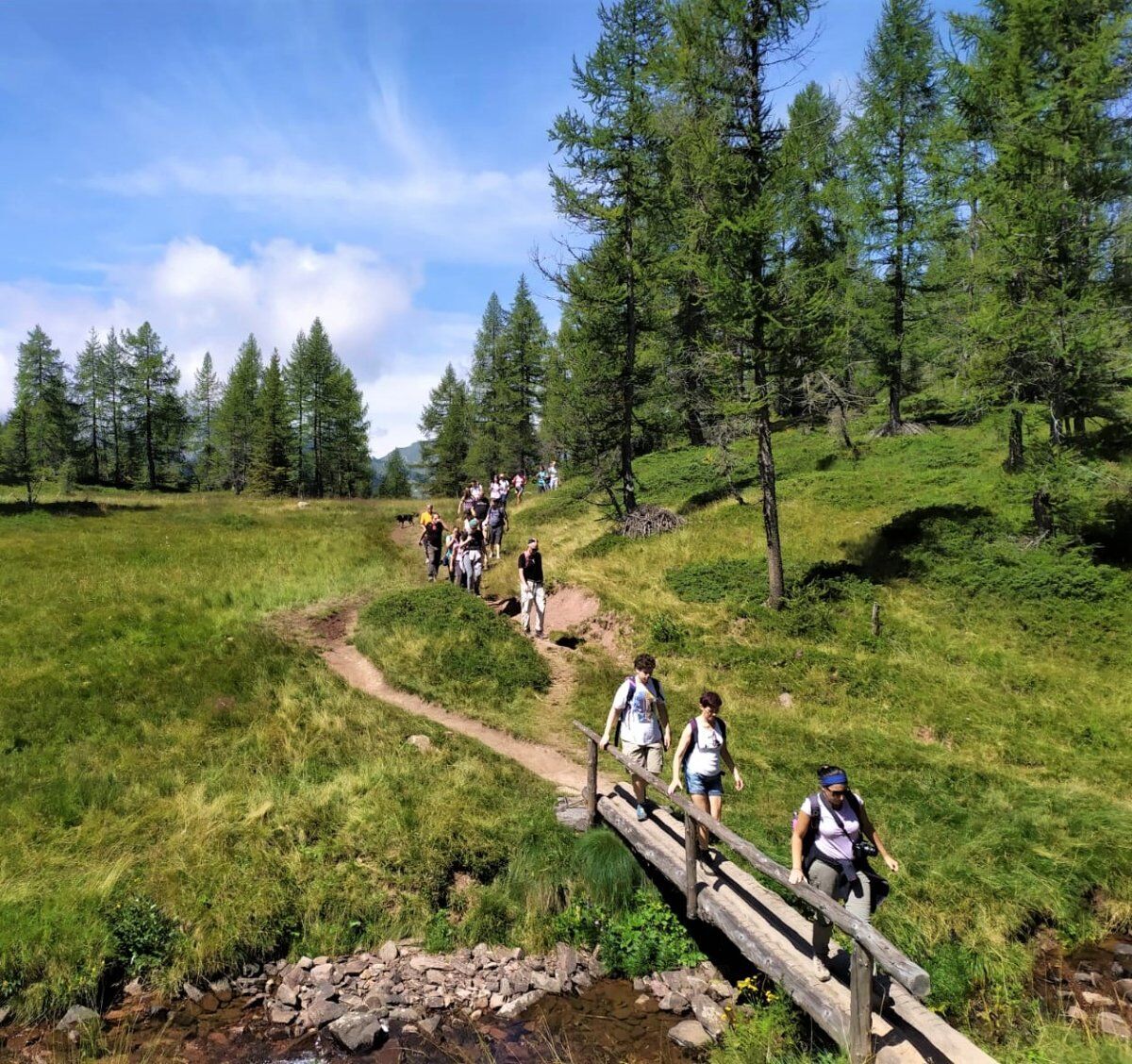 Trekking tra i colori autunnali nella Valle del Caffaro Trekking tra i colori autunnali nella Valle del Caffaro desktop picture