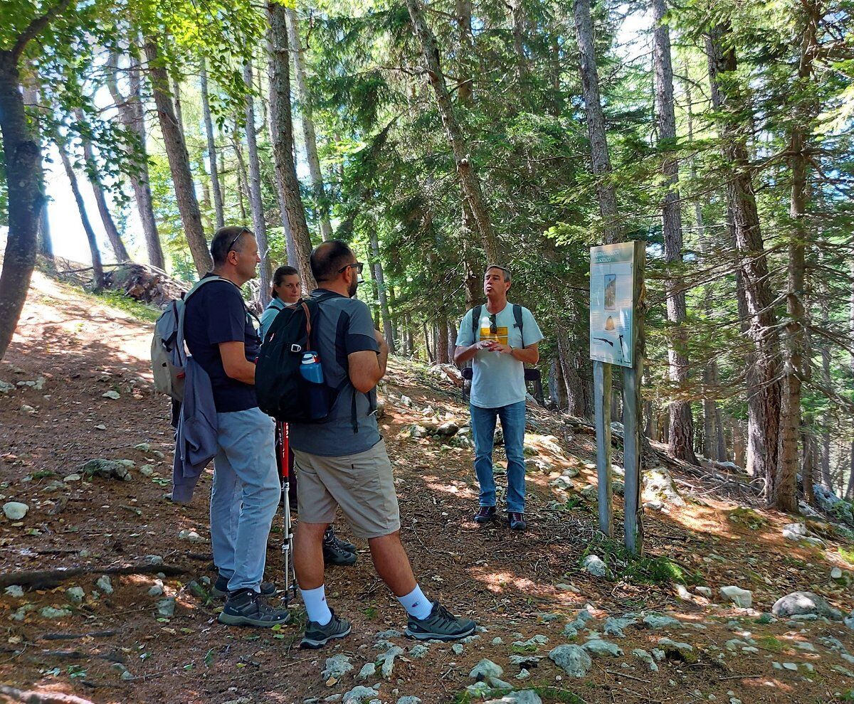 Meeters & Pascol: Escursione tra storia, natura e sapori del Monte Baldo desktop picture