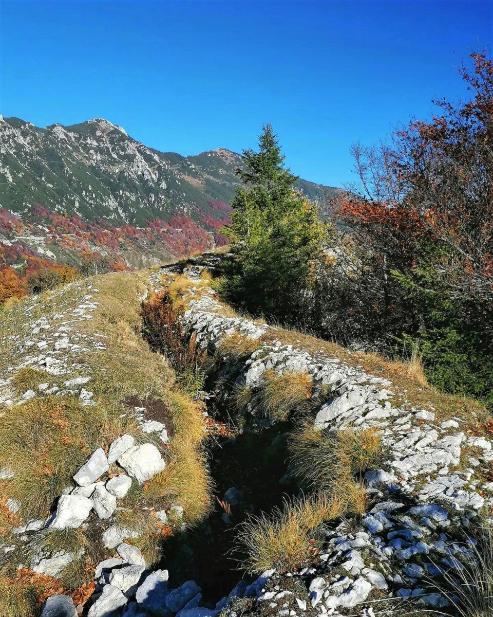 Meeters & Pascol: Escursione tra storia, natura e sapori del Monte Baldo Meeters & Pascol: Escursione tra storia, natura e sapori del Monte Baldo desktop picture