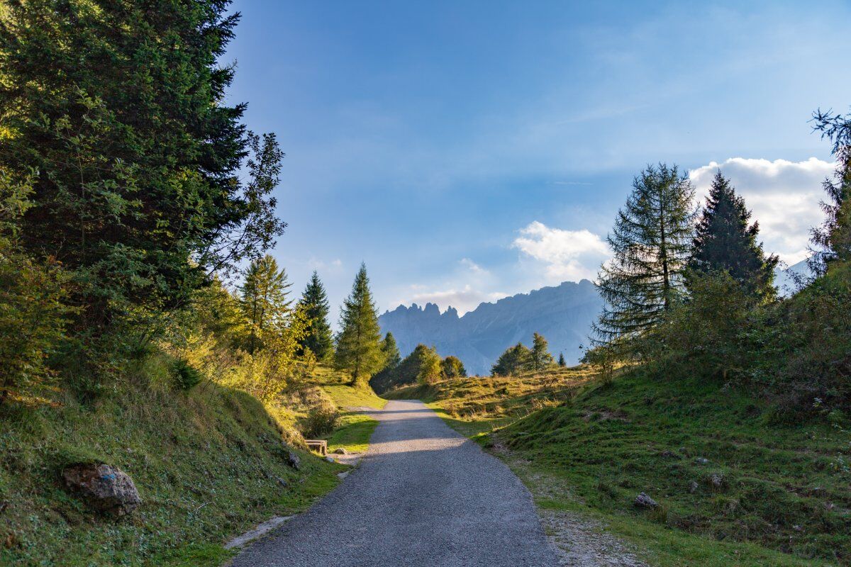 Notte di San Lorenzo: Trekking sotto le stelle nelle Piccole Dolomiti Notte di San Lorenzo: Trekking sotto le stelle nelle Piccole Dolomiti desktop picture