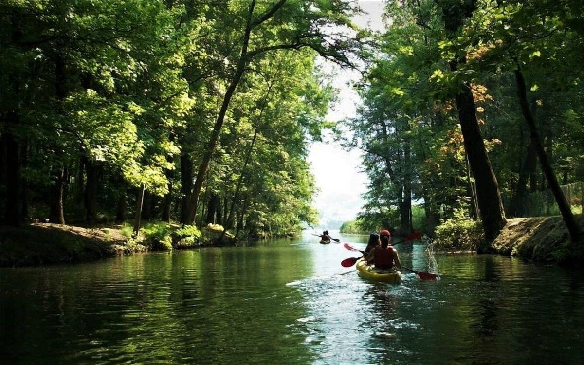 Notte di San Lorenzo: Tour in Kayak sotto le stelle al lago d’Endine Notte di San Lorenzo: Tour in Kayak sotto le stelle al lago d’Endine desktop picture