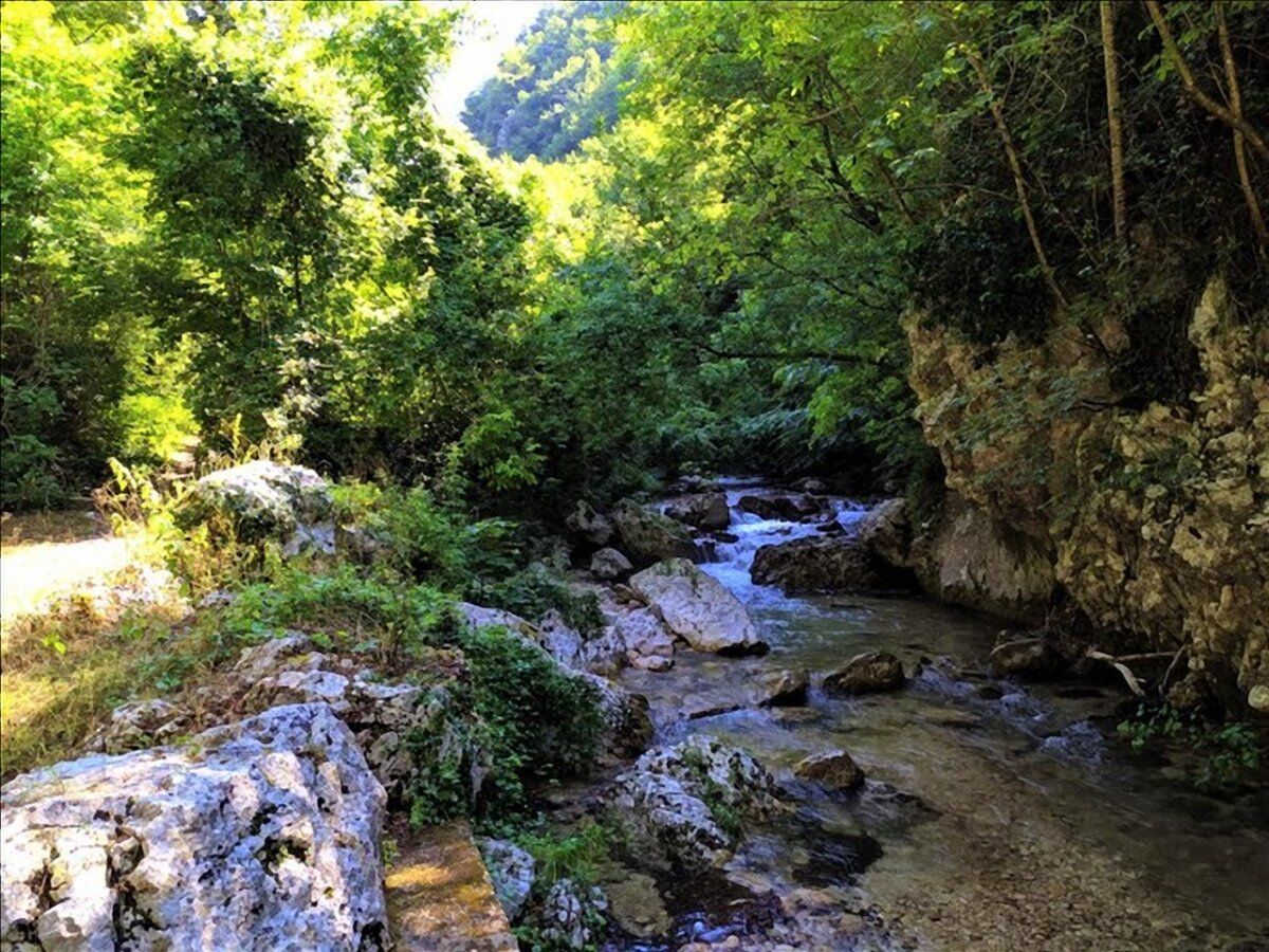 Escursione a Collepardo con visita alla sontuosa Certosa di Trisulti desktop picture