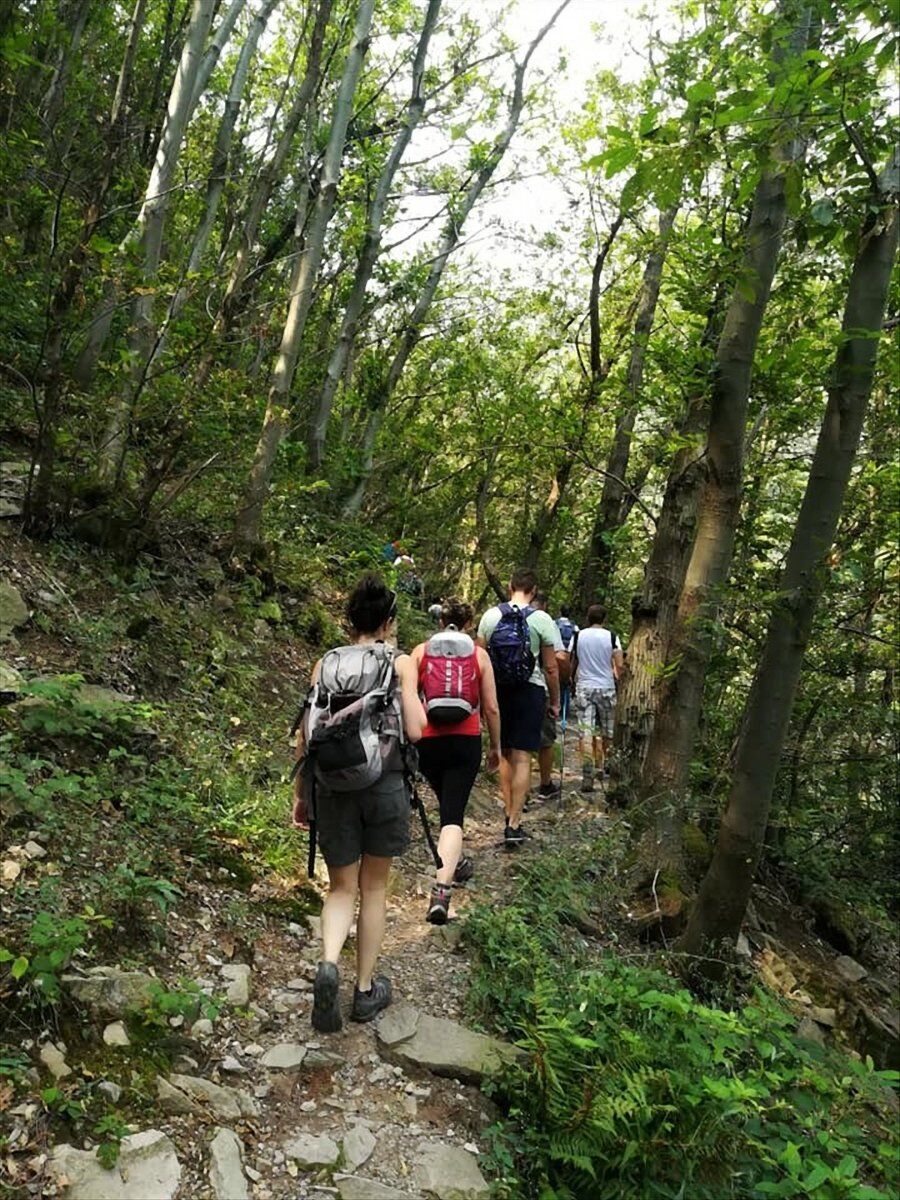 Trekking nella Brianza collinare: il Sentiero dell’Alto Molgora Trekking nella Brianza collinare: il Sentiero dell’Alto Molgora desktop picture