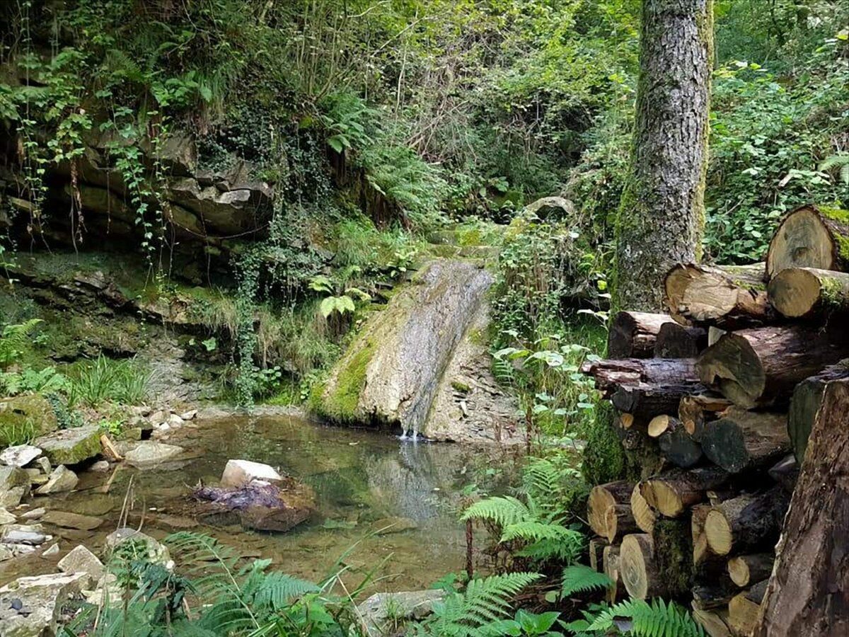 Trekking nella Brianza collinare: il Sentiero dell’Alto Molgora desktop picture