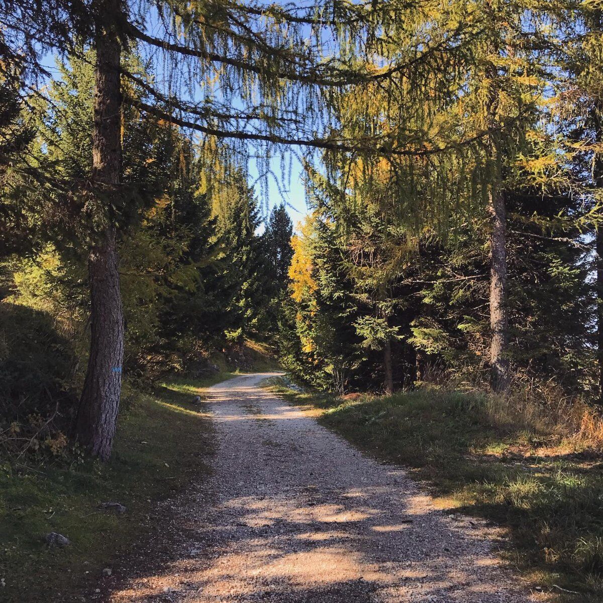 Notte di San Lorenzo: Escursione all'Osservatorio sul Monte Zugna Notte di San Lorenzo: Escursione all'Osservatorio sul Monte Zugna desktop picture