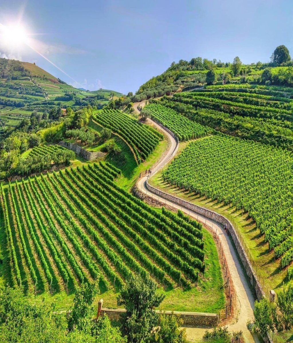 Tour nei luoghi del cinema di Soave: il Borgo dei Borghi 2022 desktop picture