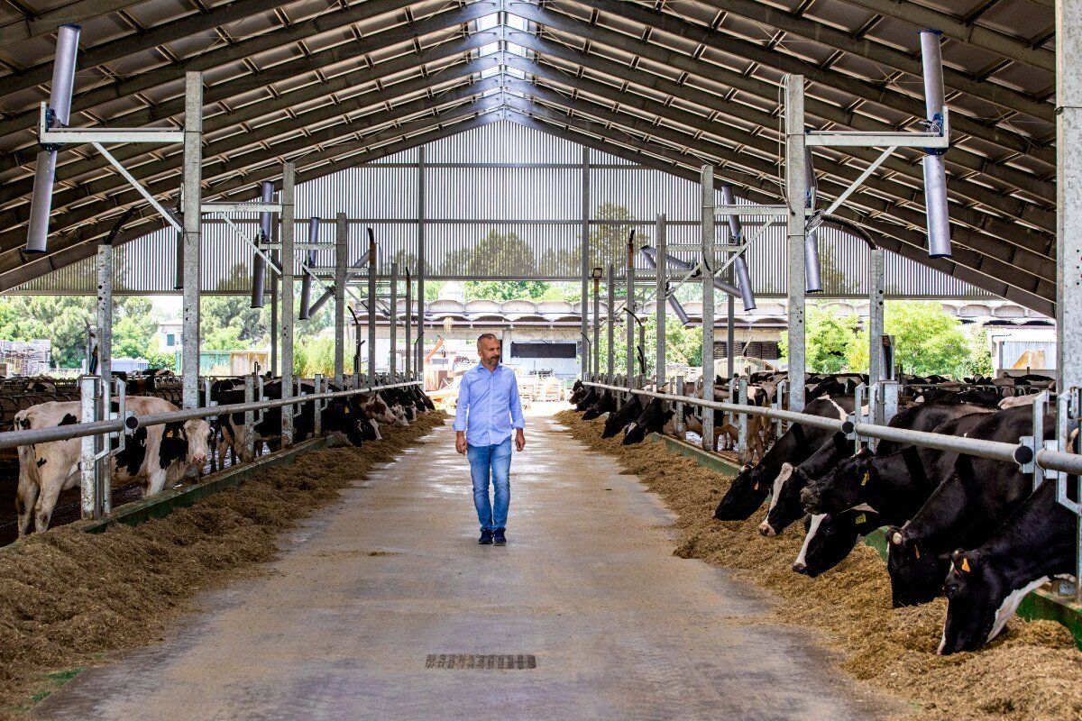 Contadini per un giorno: Tour guidato presso l’Azienda Agricola Carioni Contadini per un giorno: Tour guidato presso l’Azienda Agricola Carioni desktop picture