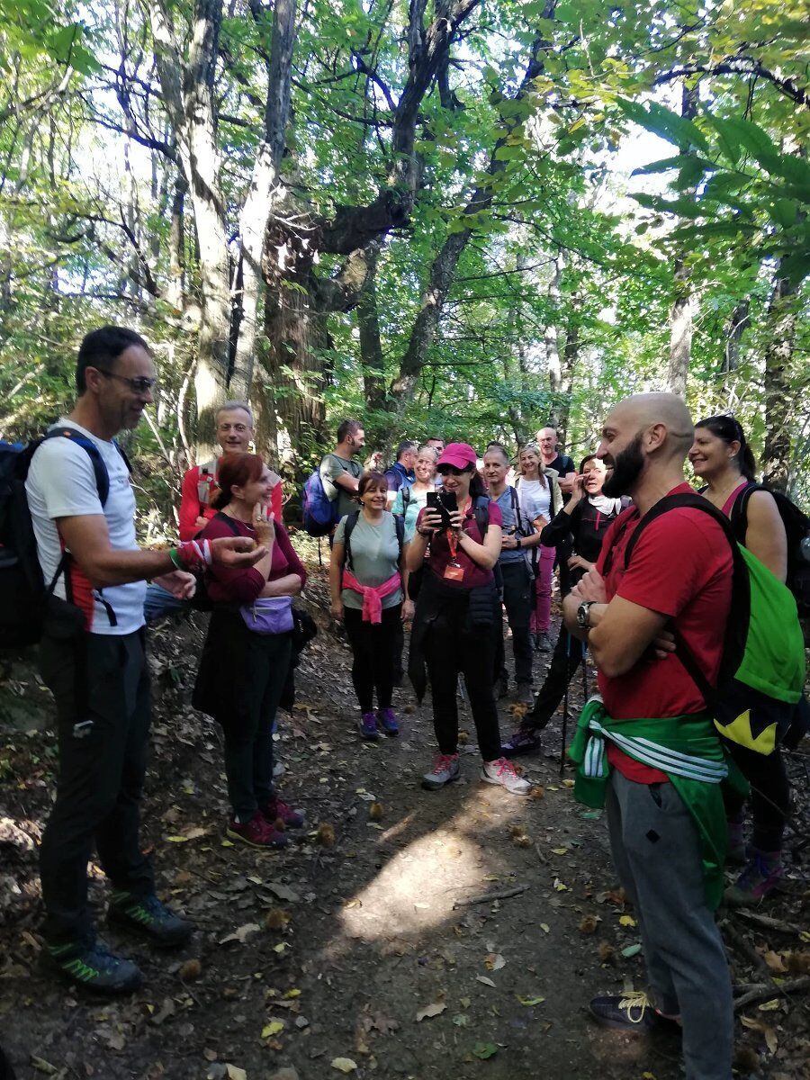 Escursione dal Borgo di Valestra alla panoramica Panchina Gigante Escursione dal Borgo di Valestra alla panoramica Panchina Gigante desktop picture