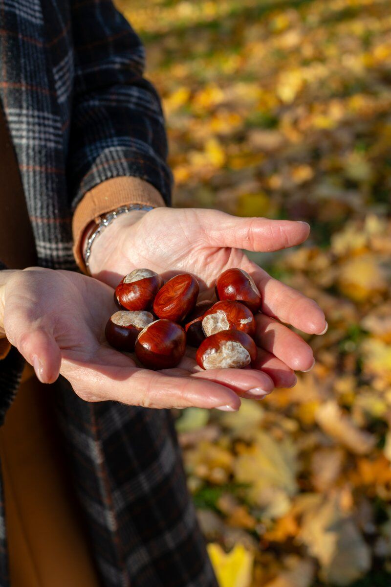 Escursione dal Borgo di Valestra alla panoramica Panchina Gigante Escursione dal Borgo di Valestra alla panoramica Panchina Gigante desktop picture
