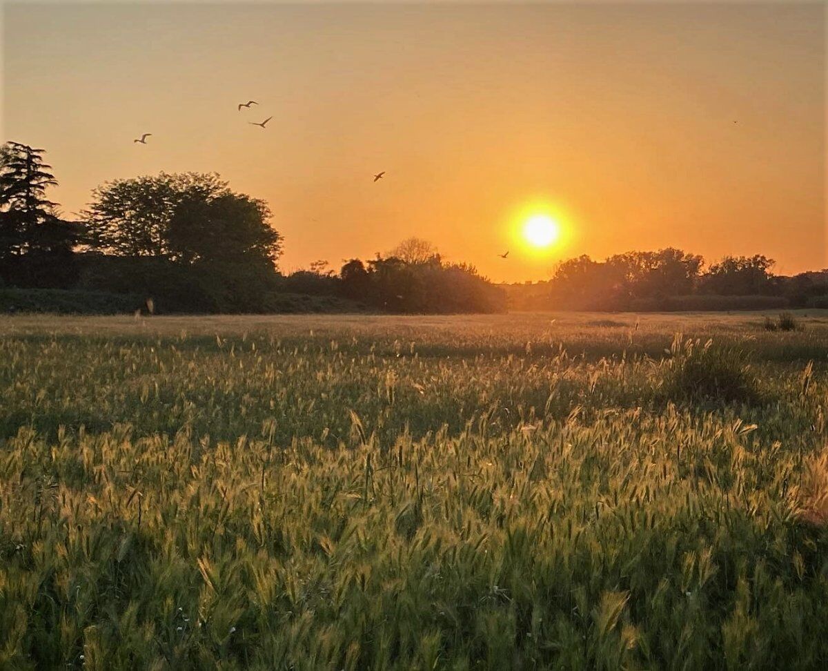 La via Appia Antica al tramonto: Percorso tra storia e archeologia desktop picture