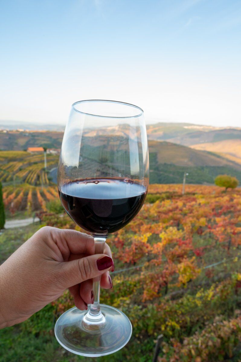 Viaggio di gruppo in PORTOGALLO: Porto e la Valle del Douro Viaggio di gruppo in PORTOGALLO: Porto e la Valle del Douro desktop picture