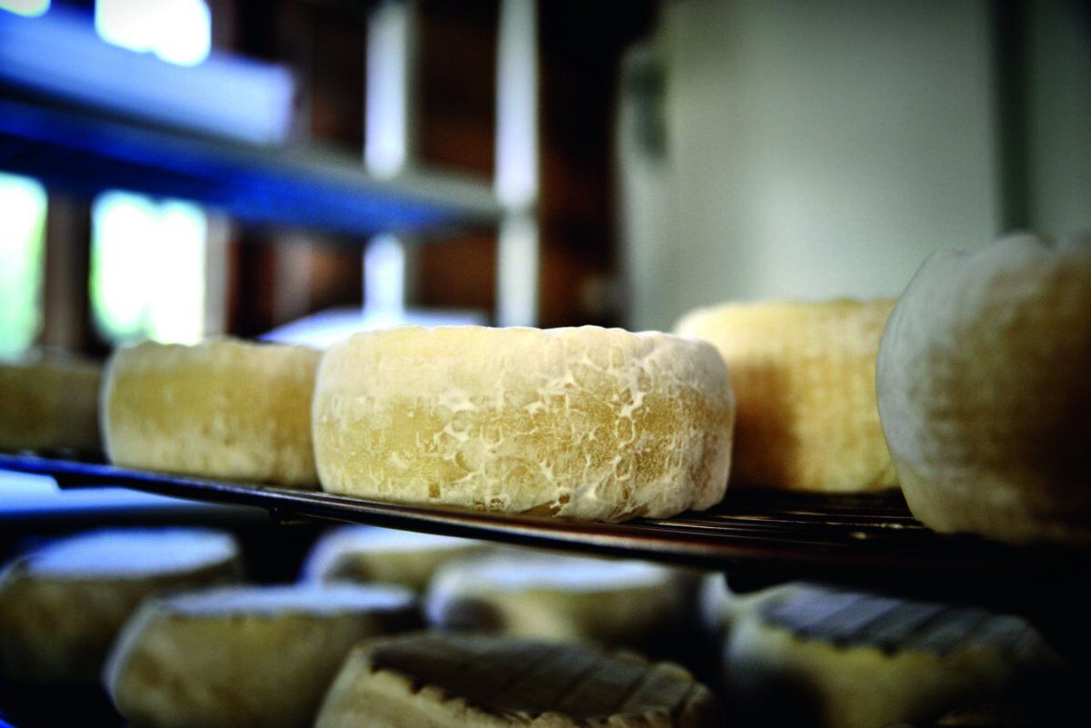 La Via dell'Acqua: Escursione con degustazione a Valli del Pasubio La Via dell'Acqua: Escursione con degustazione a Valli del Pasubio desktop picture