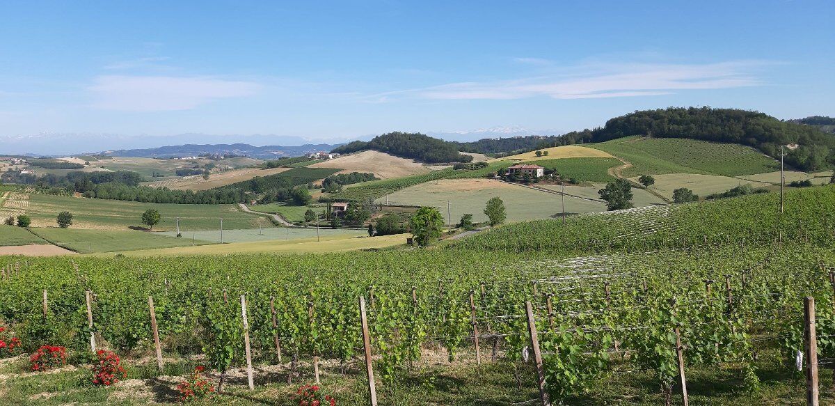 Fine Settimana in Monferrato: il Monte Sacro di Crea e l'Anello di Treville desktop picture