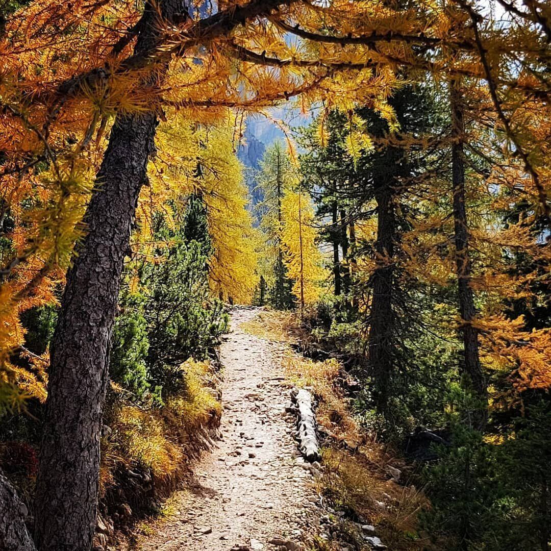 Magie d’autunno: Trekking fra le Gores de Federa e Croda da Lago Magie d’autunno: Trekking fra le Gores de Federa e Croda da Lago desktop picture