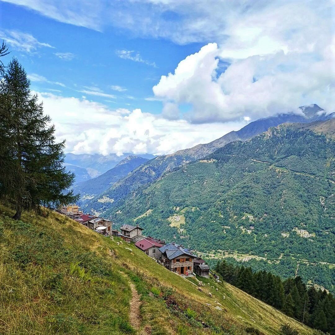 Trekking da Premana all’Alpe Ariale: tra i boschi della Val Marcia desktop picture