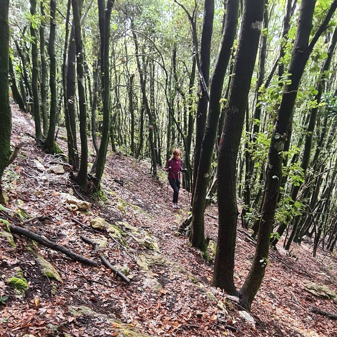 Trekking sul litorale laziale: il Monte delle Fate e le sue leggende Trekking sul litorale laziale: il Monte delle Fate e le sue leggende desktop picture