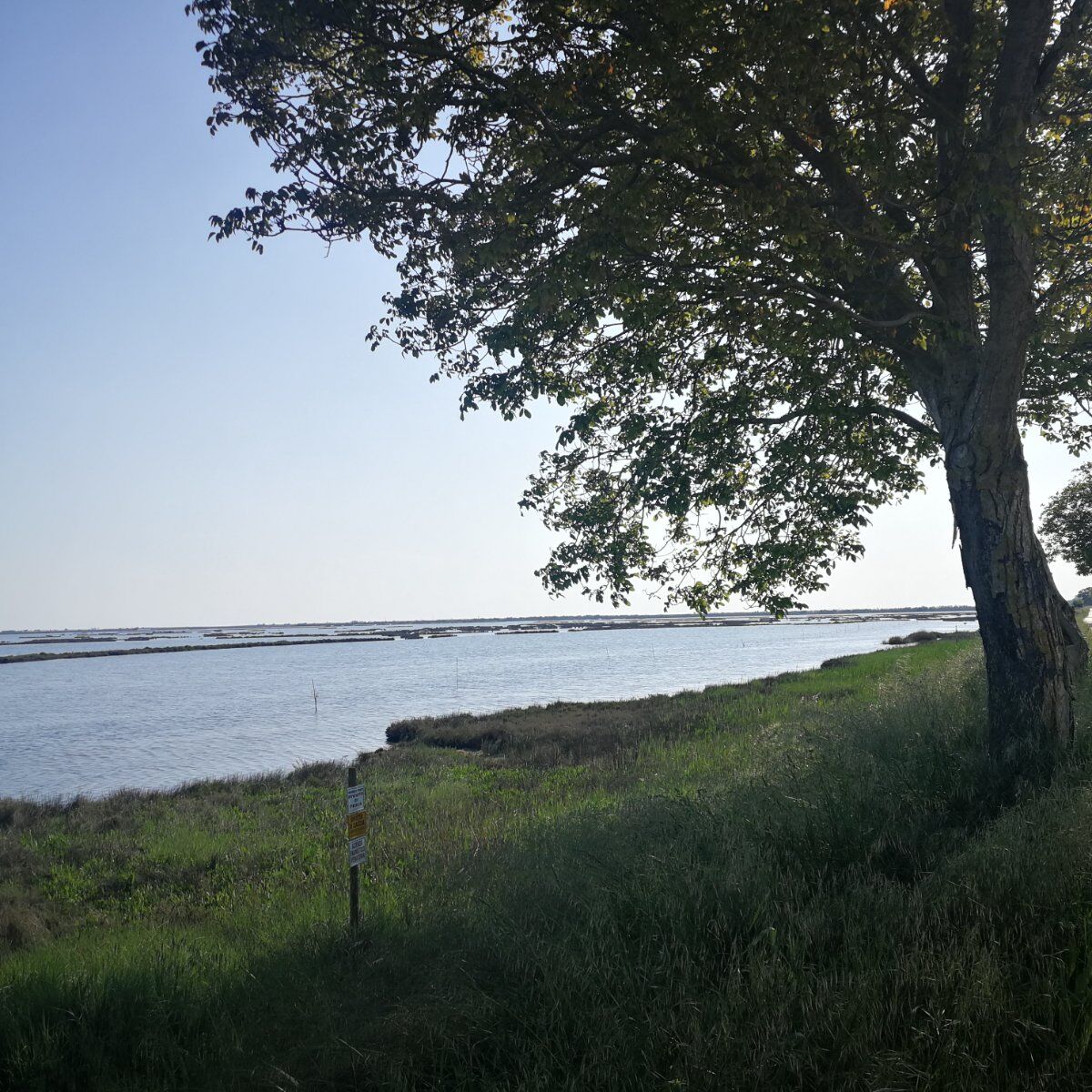Bike Tour nella Laguna Nord di Venezia Bike Tour nella Laguna Nord di Venezia desktop picture
