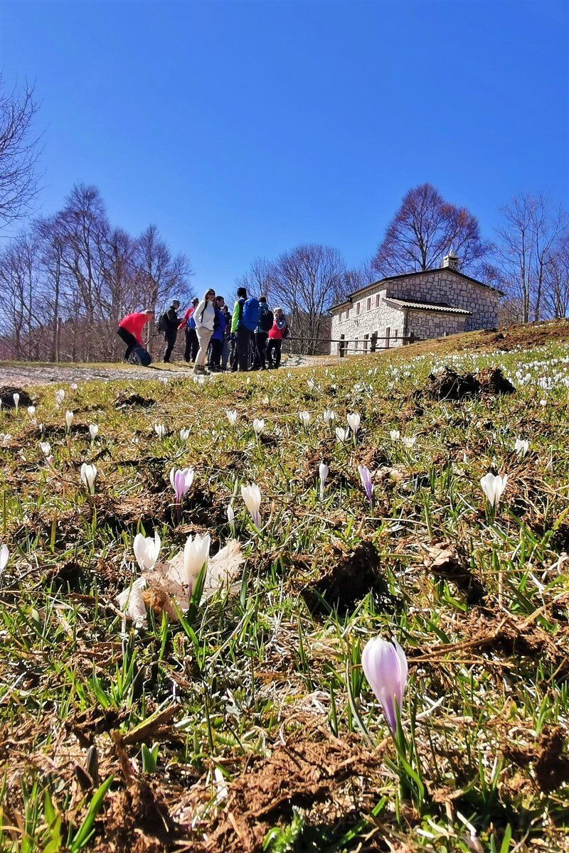 Escursione con cena tipica in Rifugio: il fascino dei Colli Alti Escursione con cena tipica in Rifugio: il fascino dei Colli Alti desktop picture