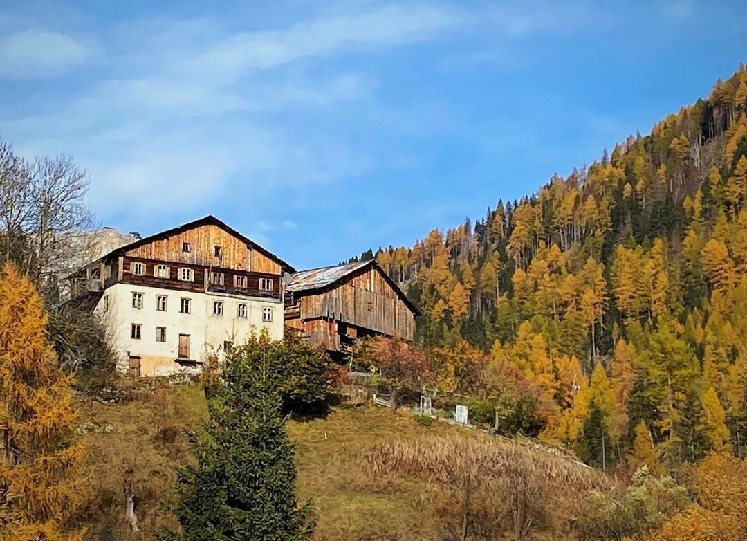 Trekking tra Col e Fodòm: i luoghi del romanzo "La pelle dell'orso" Trekking tra Col e Fodòm: i luoghi del romanzo "La pelle dell'orso" desktop picture