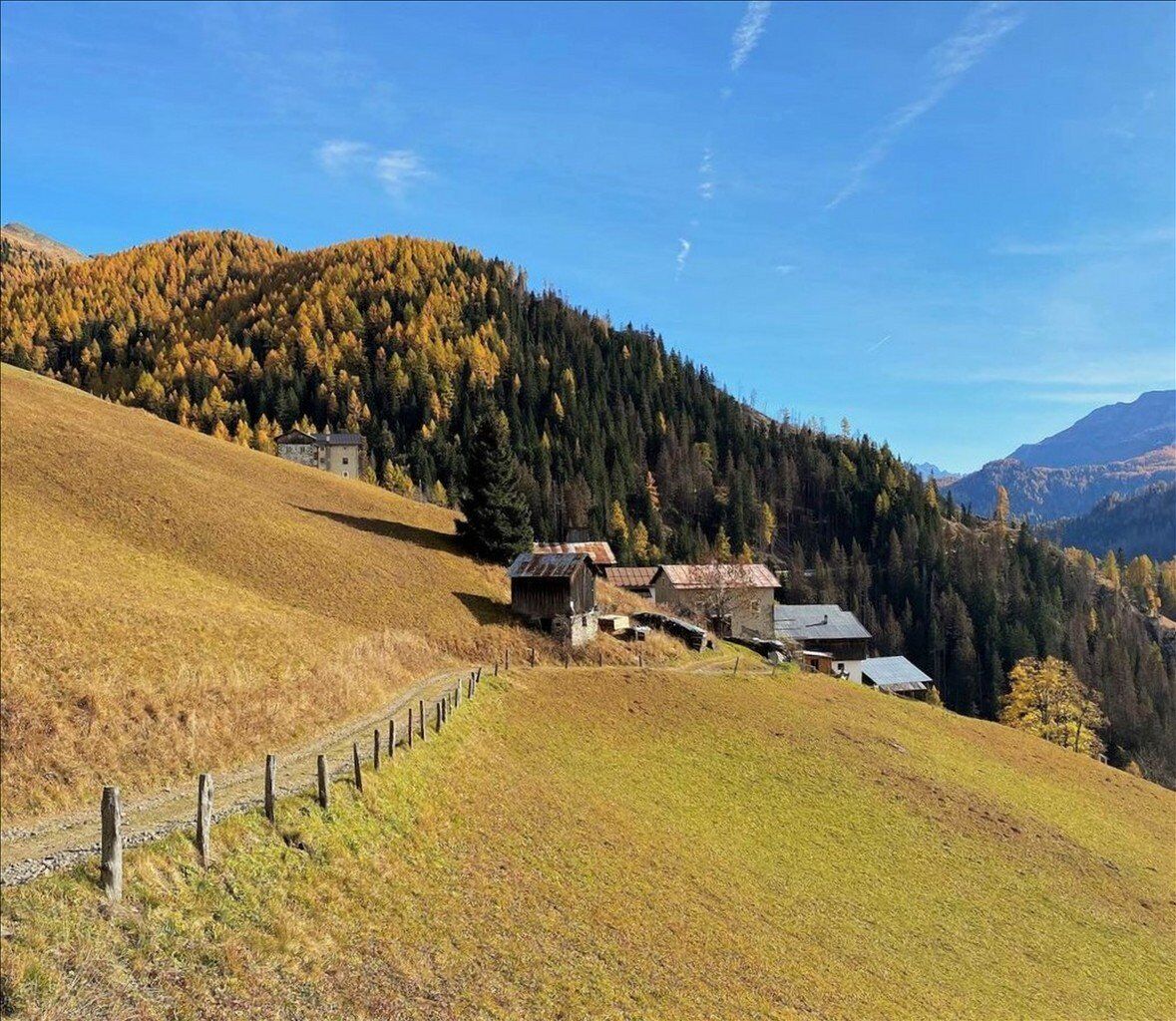 Trekking tra Col e Fodòm: i luoghi del romanzo "La pelle dell'orso" Trekking tra Col e Fodòm: i luoghi del romanzo "La pelle dell'orso" desktop picture