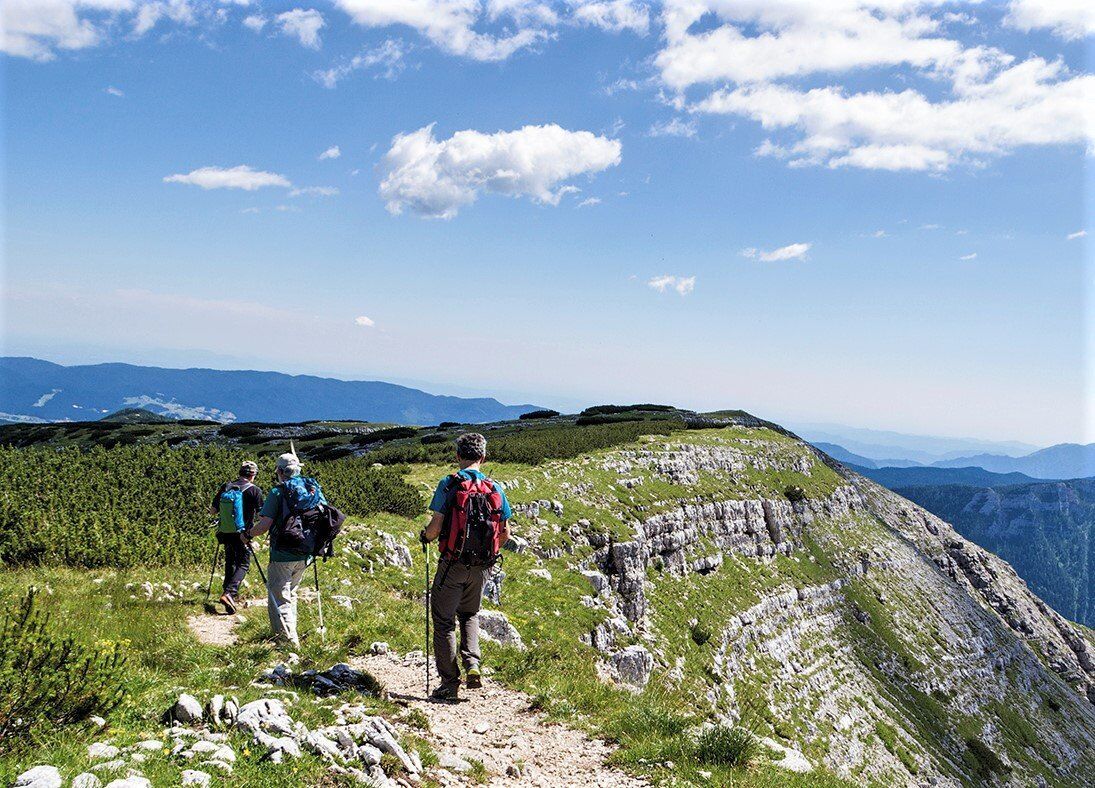 Escursione a Cima Mandriolo: i panorami più strepitosi sulla Valsugana Escursione a Cima Mandriolo: i panorami più strepitosi sulla Valsugana desktop picture