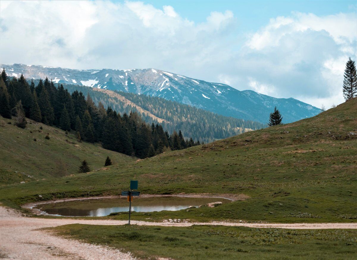 Escursione a Cima Mandriolo: i panorami più strepitosi sulla Valsugana Escursione a Cima Mandriolo: i panorami più strepitosi sulla Valsugana desktop picture