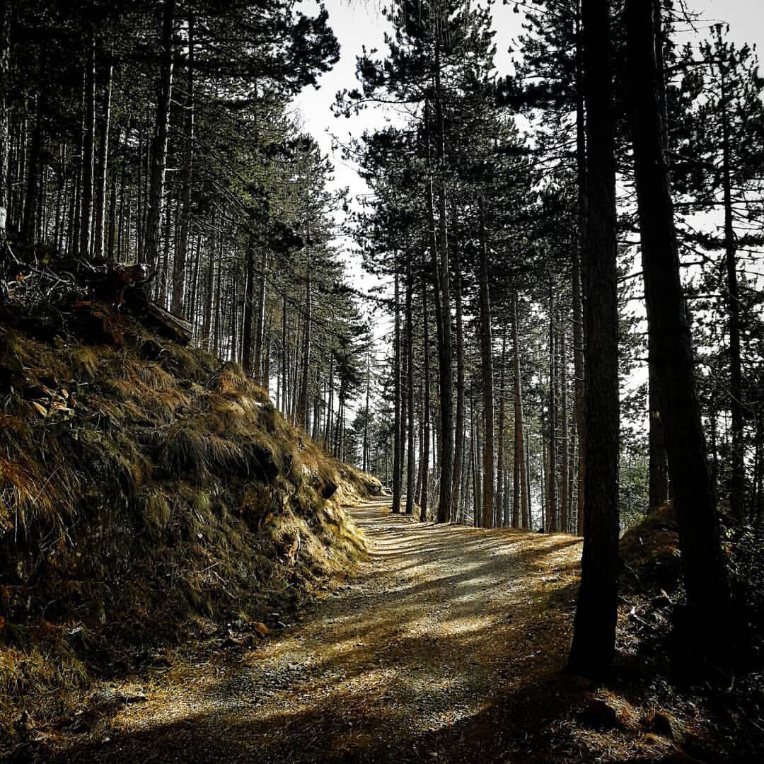Camminata di primavera al Santuario della Madonna della Bassa Camminata di primavera al Santuario della Madonna della Bassa desktop picture