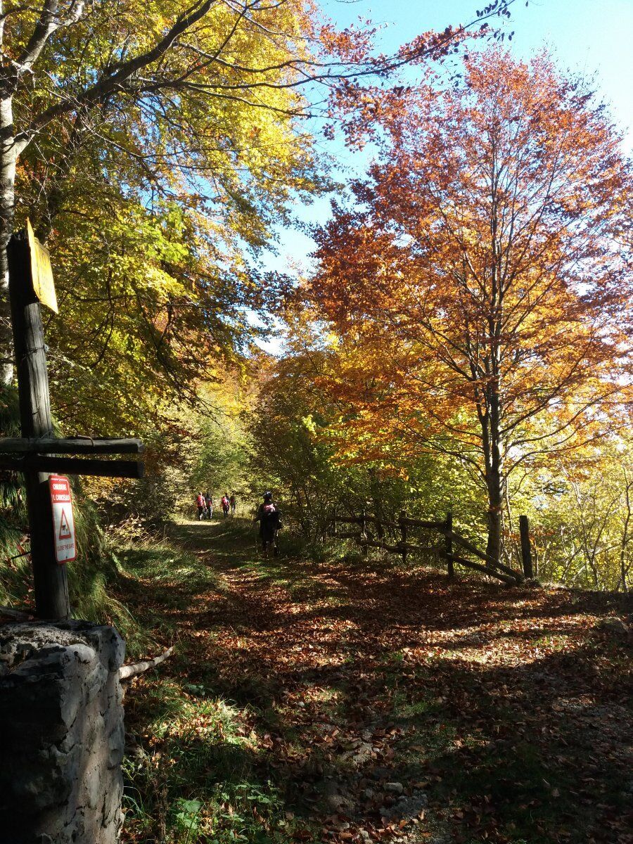 Trekking ad anello in Val di Posina Trekking ad anello in Val di Posina desktop picture