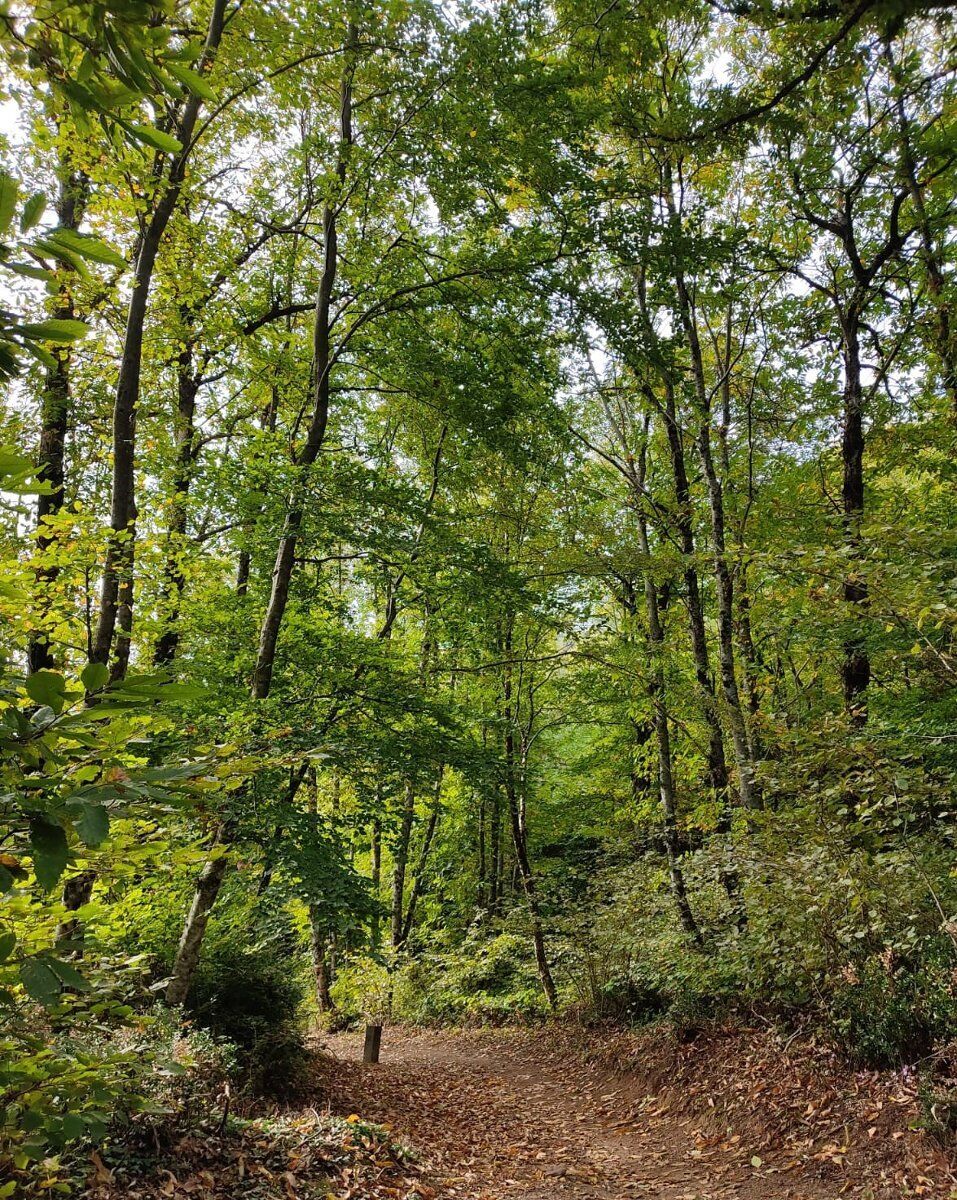 Trekking al Maschio d’Ariano: tra Canyon e Grotte Preistoriche Trekking al Maschio d’Ariano: tra Canyon e Grotte Preistoriche desktop picture