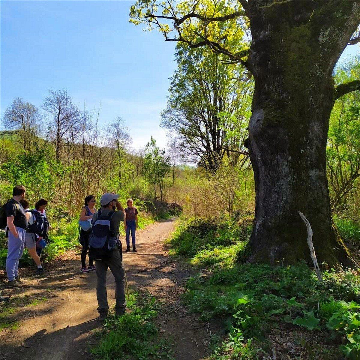 Trekking al Maschio d’Ariano: tra Canyon e Grotte Preistoriche Trekking al Maschio d’Ariano: tra Canyon e Grotte Preistoriche desktop picture